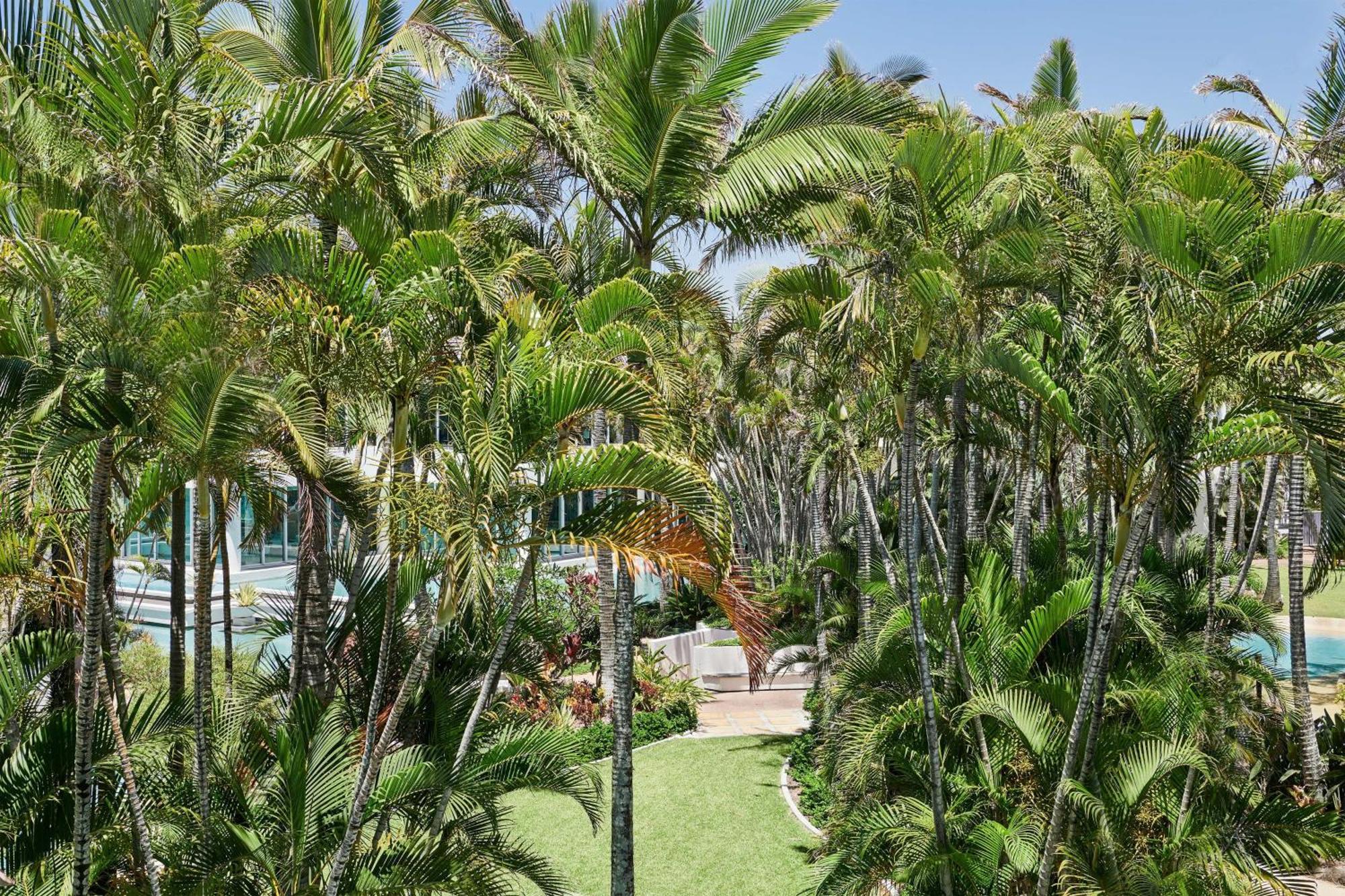 Sheraton Grand Mirage Resort Голд-Кост Экстерьер фото The Gardens